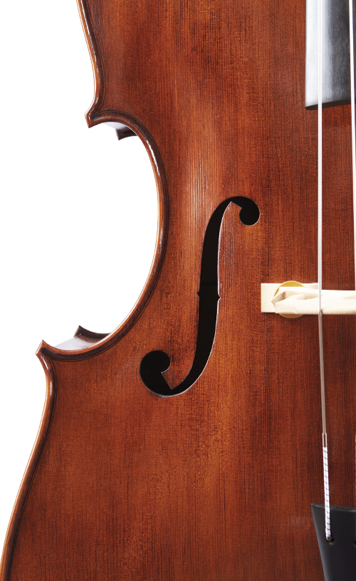 Fuber Double Bass right side