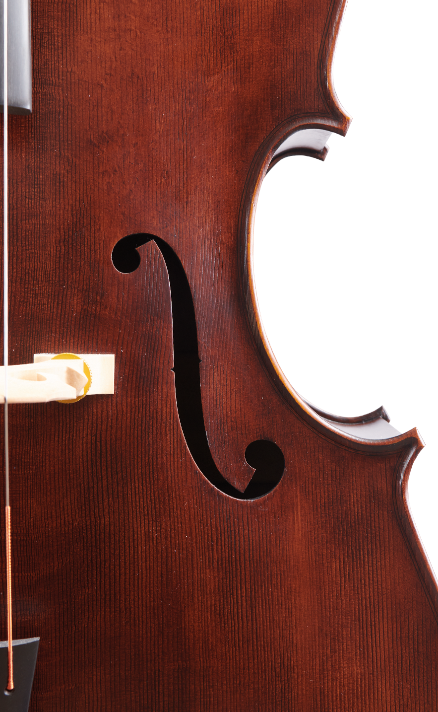 Fuber Double Bass right side