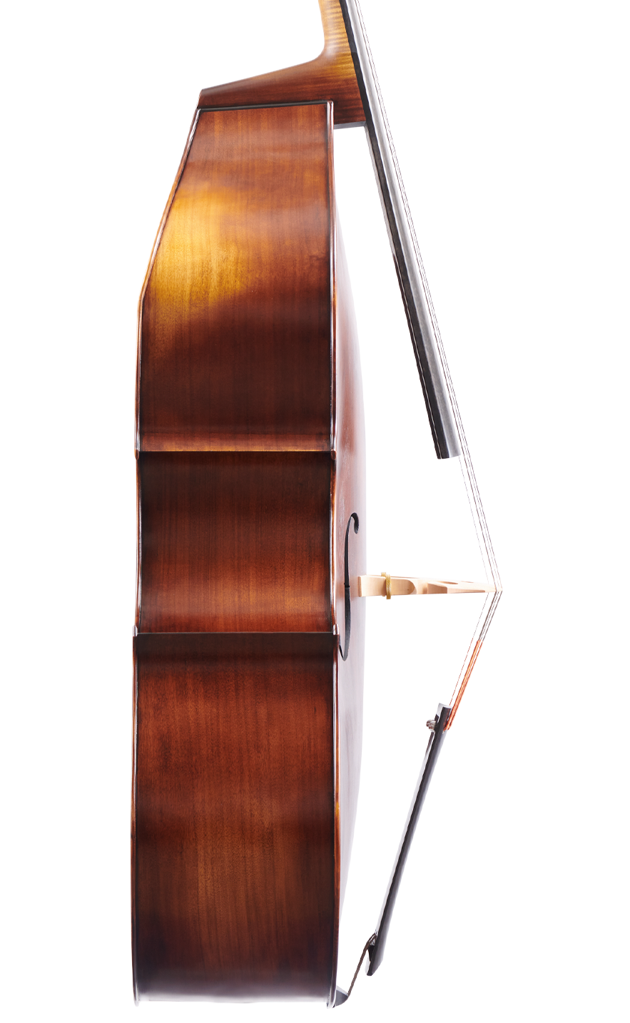 Fuber Double Bass left side