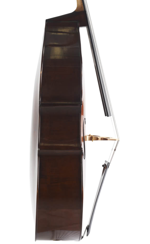 Fuber Double Bass left side