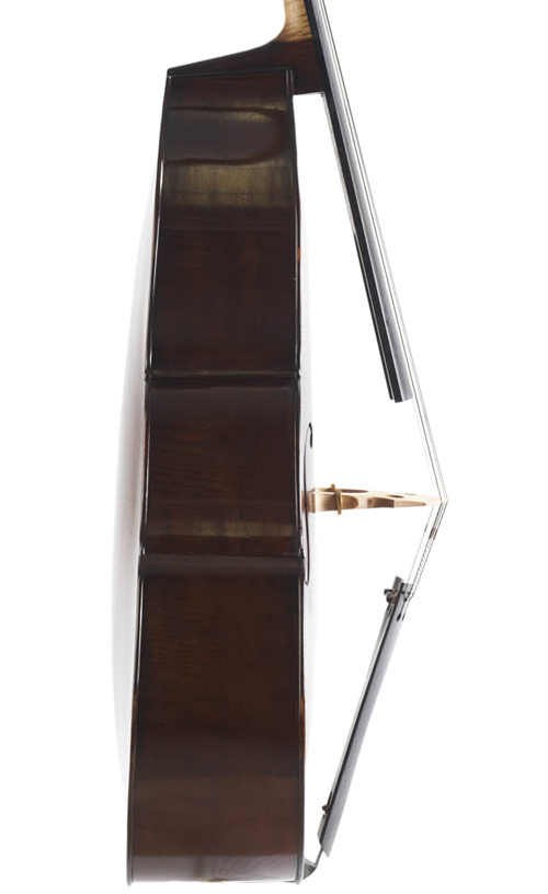 Fuber Double Bass left side