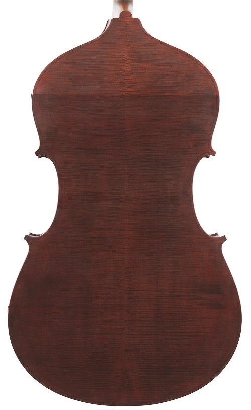 Fuber Double Bass back