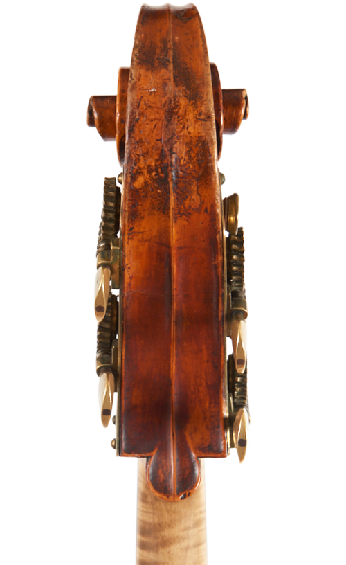 Fuber Double Bass rear scroll