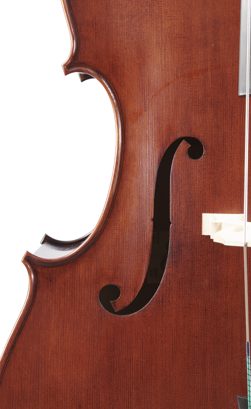 Fuber Double Bass right side