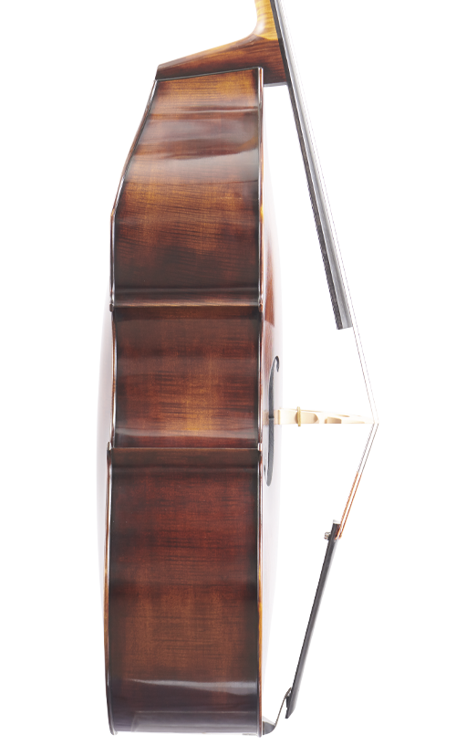 Fuber Double Bass left side