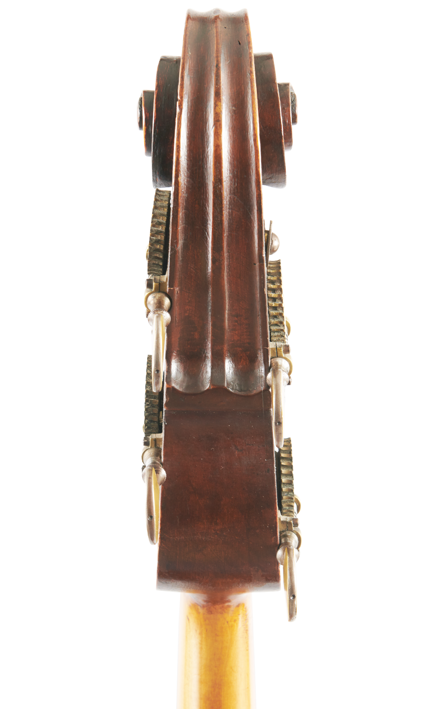 Fuber Double Bass rear scroll