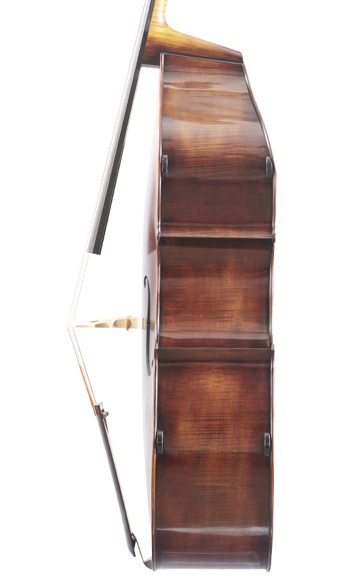 Fuber Double Bass right side