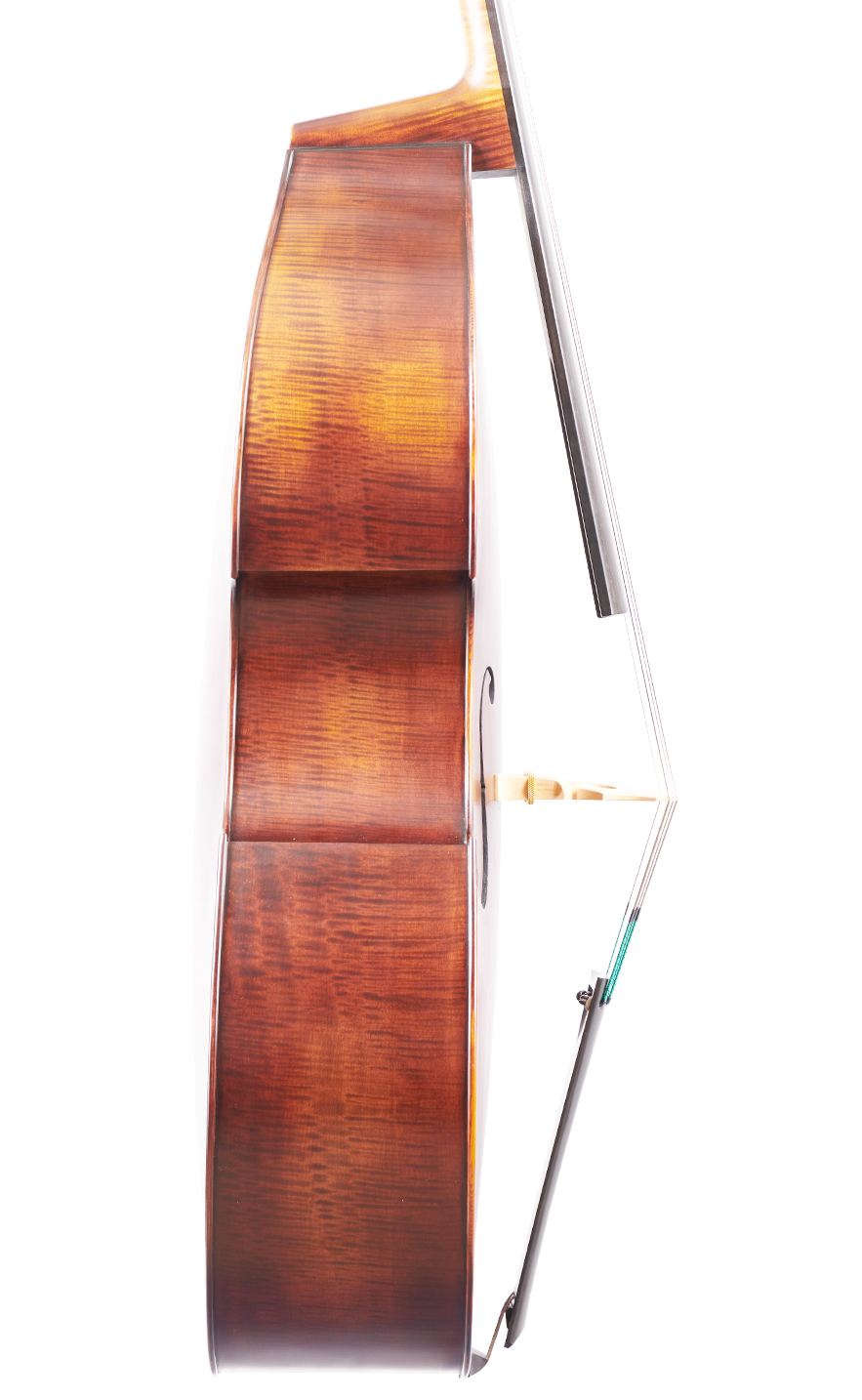 Fuber Double Bass left side