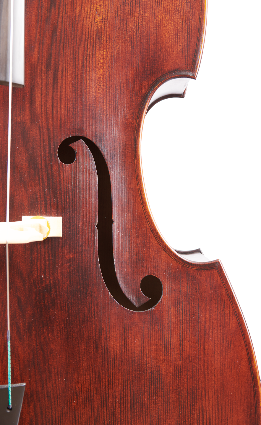 Fuber Double Bass right side