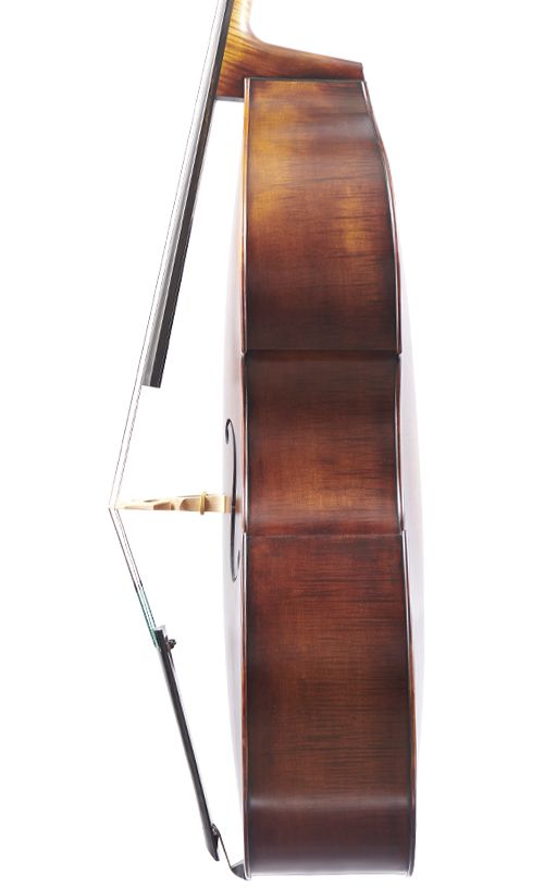 Martin Concert 3/4 Viol Right Side