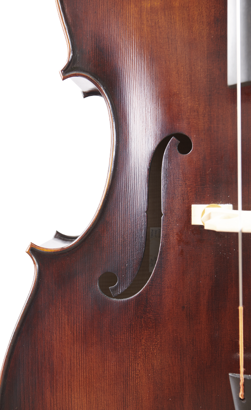 Fuber Double Bass right side