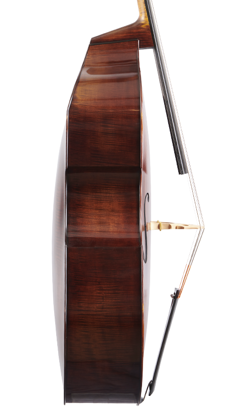 Fuber Double Bass left side