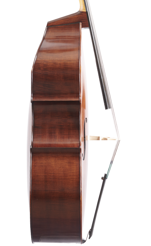 Fuber Double Bass left side