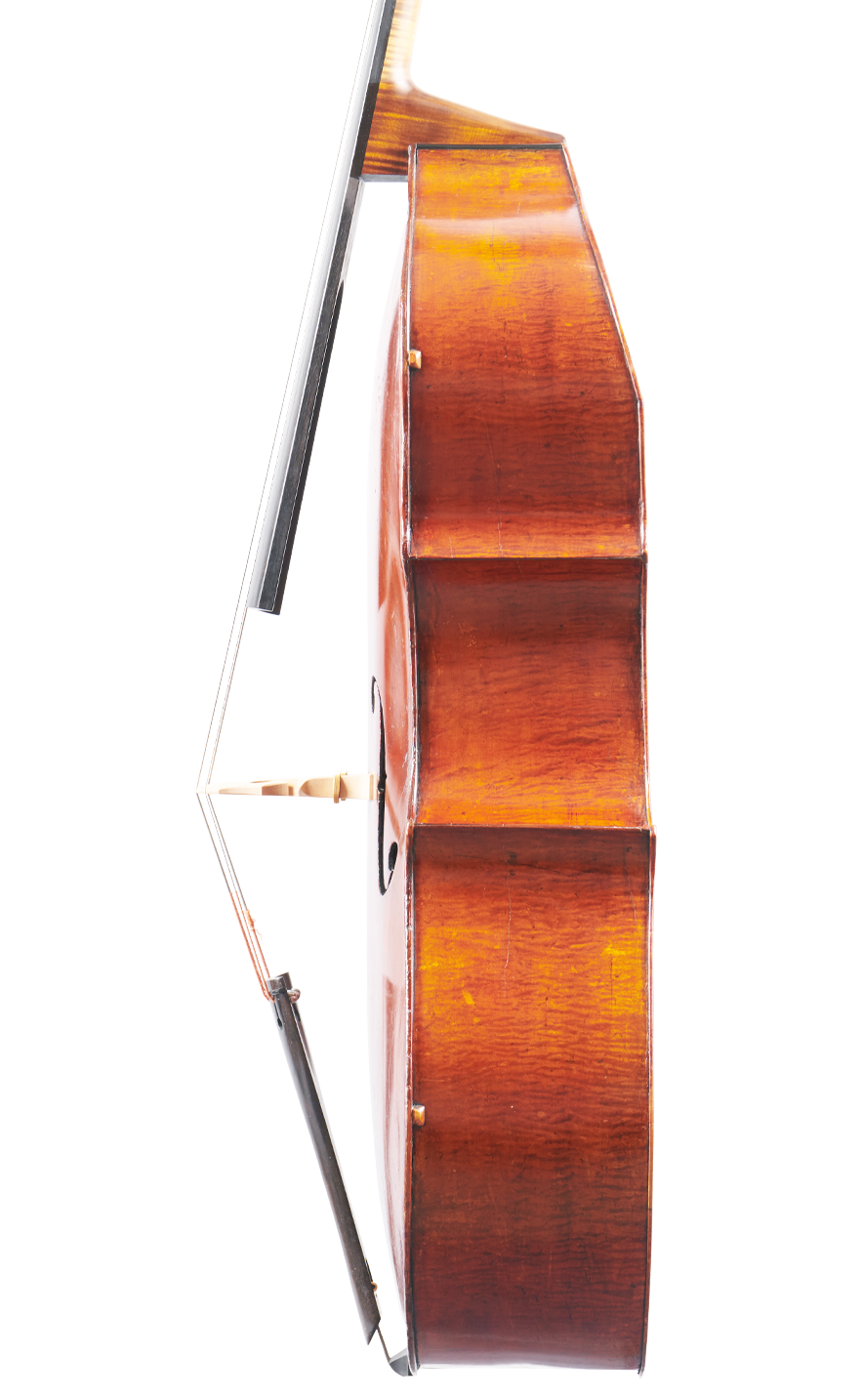 Northern English Double Bass right image