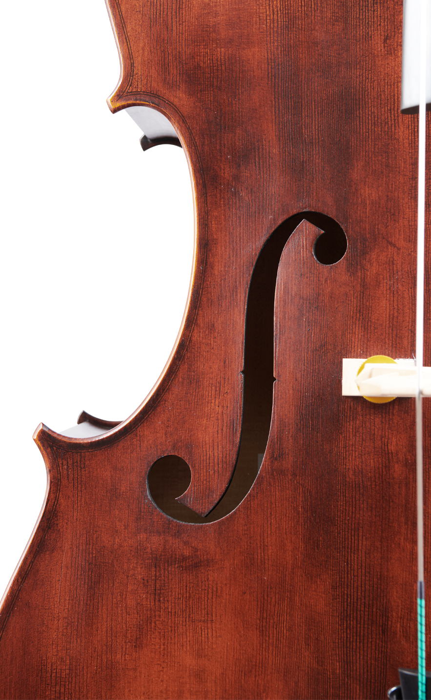 Fuber Double Bass right side