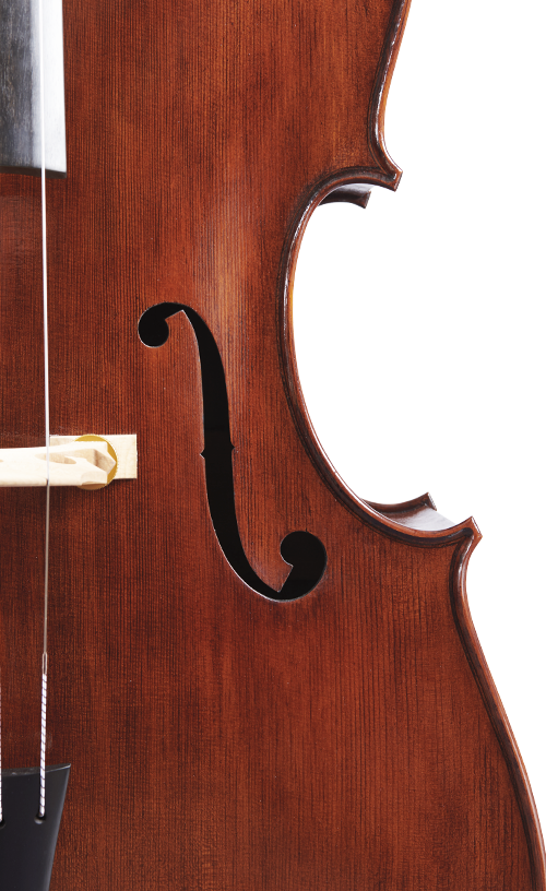 Fuber Double Bass right side