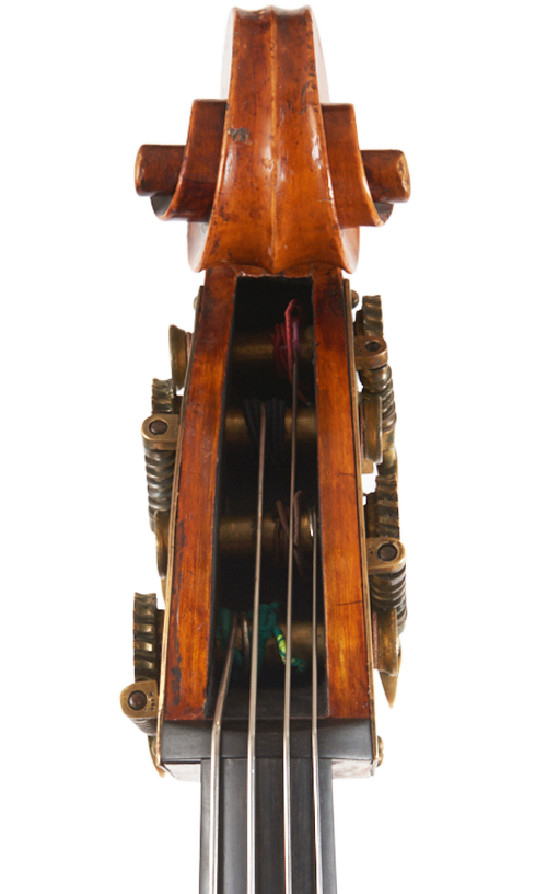 Fuber Double Bass front scroll