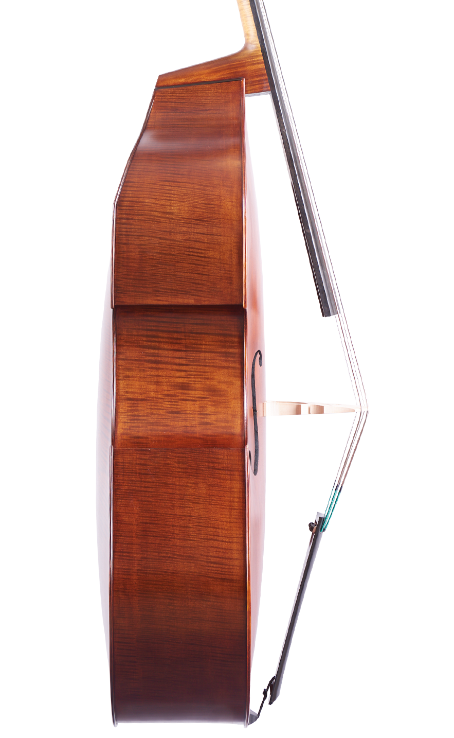 Martin Ruggeri Viol Double Bass