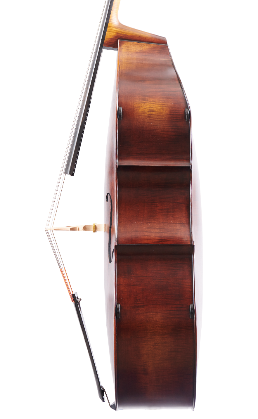 Fuber Double Bass right side