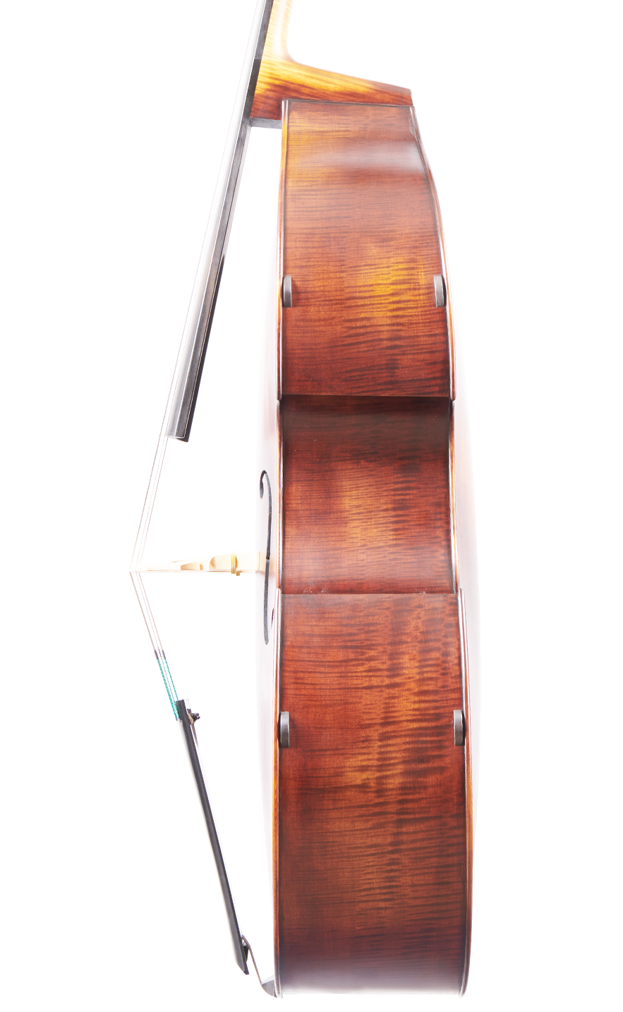 Fuber Double Bass right side