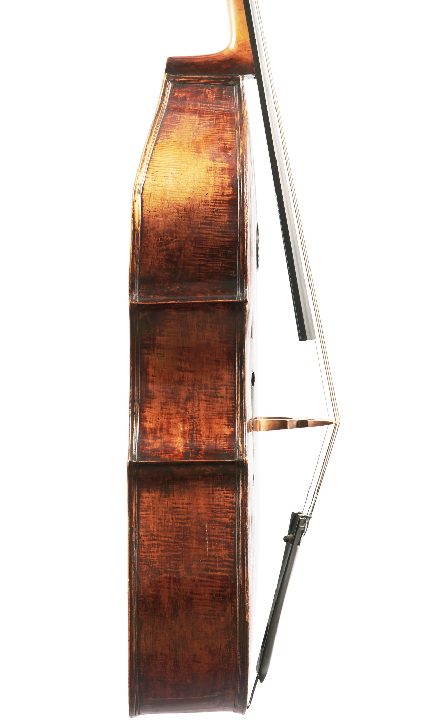 Fuber Double Bass left side