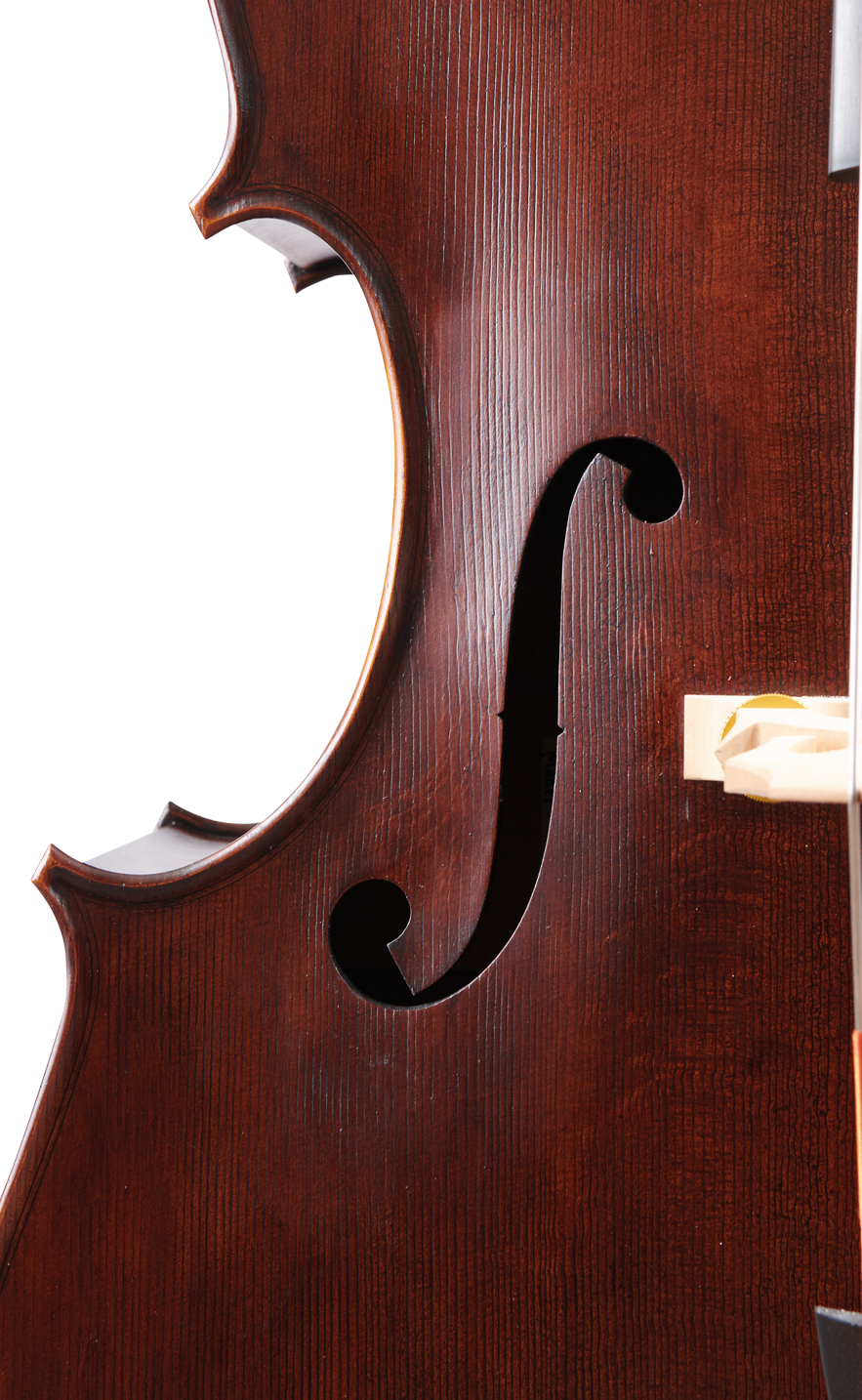 Fuber Double Bass right side