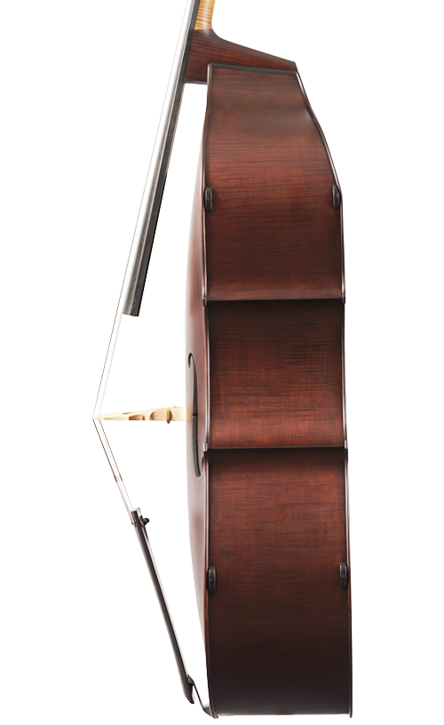 Fuber Double Bass right side