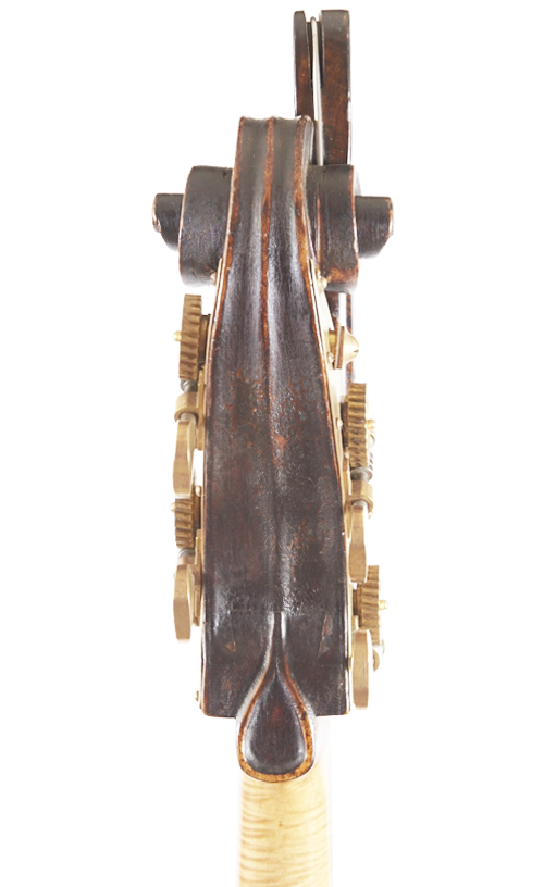 Fuber Double Bass rear scroll