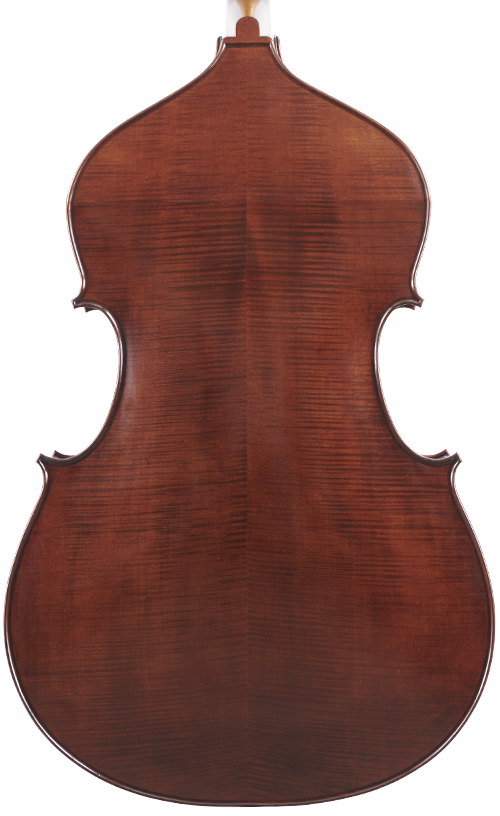 Fuber Double Bass back