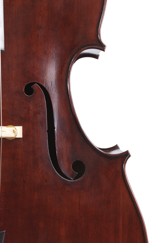 Fuber Double Bass right side